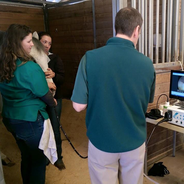 Gastroscope