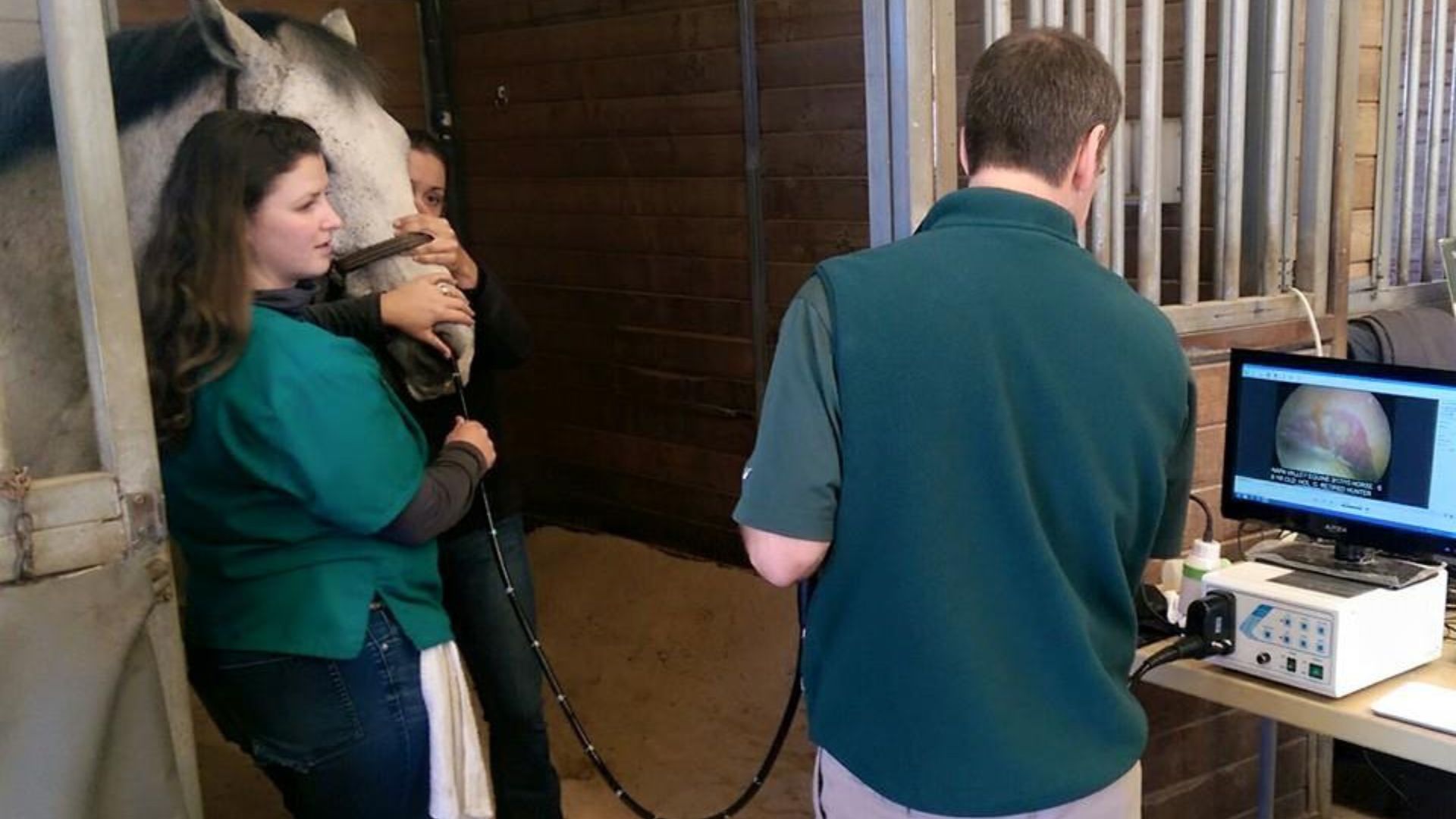 A man and woman standing in a horse stall