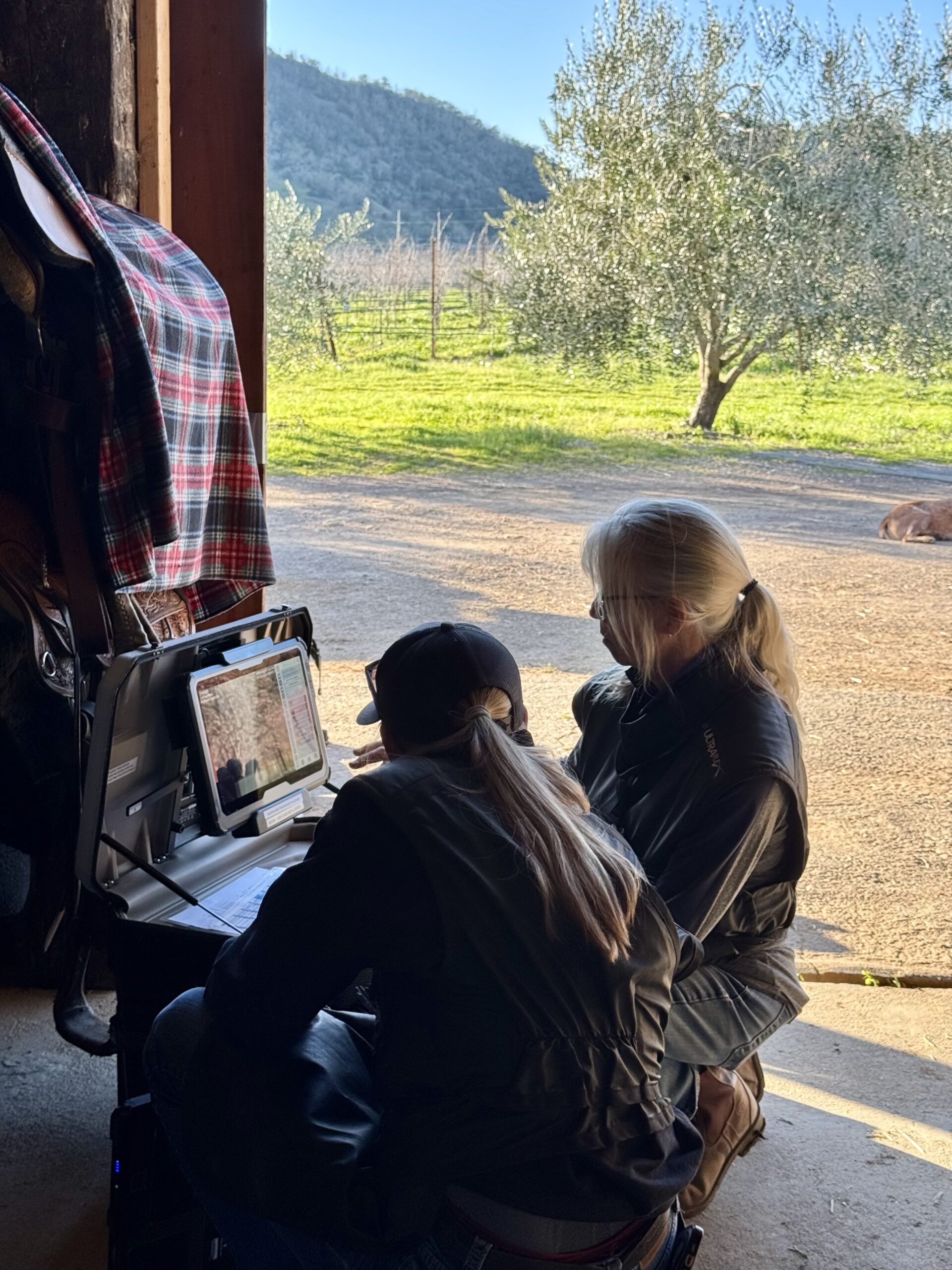 A person standing next to a horse